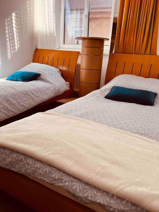 Graz City Centr Apartment エクステリア 写真